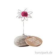 Artikelbild des Artikels “Good old friends - Mini Glücksblumenstein, Pink “