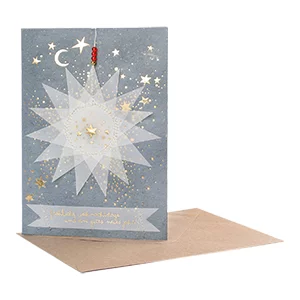 Artikelbild des Artikels “Good old friends - Transparentsternenkarte, Sterne, Gold “