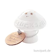 Artikelbild des Artikels “Good old friends - Winter Glückspilz, Goldstern “