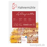 Artikelbild des Artikels “Hahnemühle ALLEGRETTO - 25 Bogen, 150g fein rau, 50 x 65 cm “