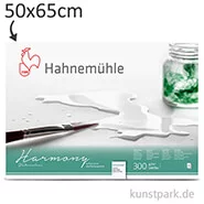Artikelbild des Artikels “Hahnemühle HARMONY Aquarell Papier, 10 Einzelblatt, 300g - satiniert 50 x 65 cm“