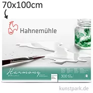 Artikelbild des Artikels “Hahnemühle HARMONY Aquarell Papier, 10 Einzelblatt, 300g - satiniert 70 x 100 cm“