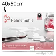 Artikelbild des Artikels “Hahnemühle EXPRESSION Aquarellpapier, 20 Blatt, 300g - matt 40 x 50 cm“