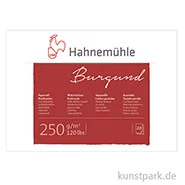 Artikelbild des Artikels “Hahnemühle Aquarell-Postkartenblock, 20 Blatt, 250g rau “