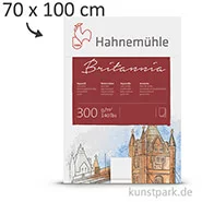Artikelbild des Artikels “Hahnemühle BRITANNIA Aquarell 10 Einzelblatt, 300g, 70 x 100 cm “
