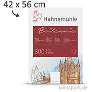 Artikelbild des Artikels “Hahnemühle BRITANNIA Aquarellblock, 12 Blatt, 300g satiniert 42 x 56 cm“