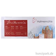 Artikelbild des Artikels “Hahnemühle BRITANNIA Panorama 300g, 12 Blatt, 20 x 50 cm matt “