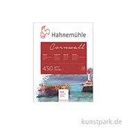 Artikelbild des Artikels “Hahnemühle CORNWALL Aquarellblock, 10 Blatt, 450g matt 17 x 24 cm“