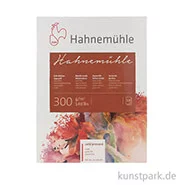 Artikelbild des Artikels “Hahnemühle Echt Bütten Aquarellpapier, 10 Blatt, 300g matt 24 x 32 cm“