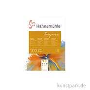Artikelbild des Artikels “Hahnemühle Echt-Bütten INGRES Pastellpapier, 20 Blatt, 100g, 9 Farben 24 x 31 cm“