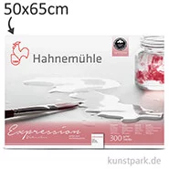 Artikelbild des Artikels “Hahnemühle EXPRESSION Aquarellpapier, 10 Einzelblatt, 300g - matt 50 x 65 cm“