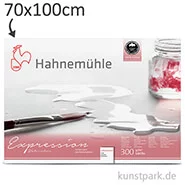 Artikelbild des Artikels “Hahnemühle EXPRESSION Aquarellpapier, 10 Einzelblatt, 300g - matt 70 x 100 cm“