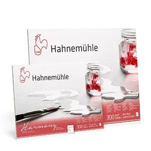Artikelbild des Artikels “Hahnemühle HARMONY Aquarell Papier, 12 Blatt, 300g - matt “