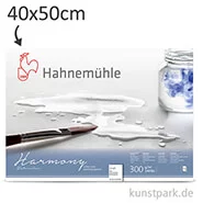 Artikelbild des Artikels “Hahnemühle HARMONY Aquarell Papier, 12 Blatt, 300g - rau 40 x 50 cm“