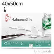 Artikelbild des Artikels “Hahnemühle HARMONY Aquarell Papier, 12 Blatt, 300g - satiniert 40 x 50 cm“