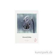 Artikelbild des Artikels “Hahnemühle Museum Etching, 25 Blatt, 350 g/m² DIN A4“