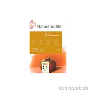 Artikelbild des Artikels “Hahnemühle VELOUR Pastellpapier, 10 Blatt, 260g, 10 Farben 24 x 32 cm“