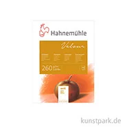 Artikelbild des Artikels “Hahnemühle VELOUR Pastellpapier, 10 Blatt, 260g, weiß 30 x 40 cm“