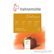 Artikelbild des Artikels “Hahnemühle VELOUR Pastellpapier, 10 Blatt, 260g, weiß “