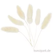 Artikelbild des Artikels “Helles Federgras, 6 Stück im Set, Länge etwa 3 bis 7 cm “
