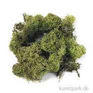 Artikelbild des Artikels “Islandmoos - Hellgrün, 30 g “