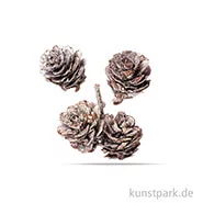 Artikelbild des Artikels “Kiefernzapfen 3 - 4 cm, 50g “