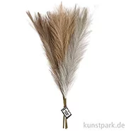 Artikelbild des Artikels “Künstliches Pampasgras, Hellbeige, Hellbraun, Hellgrau, Länge 50 cm “