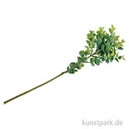 Artikelbild des Artikels “Kunst-Buchszweig, Länge 40 cm “