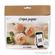 Artikelbild des Artikels “Mini Bastelset - Blumen Krepppapier, Nelken “