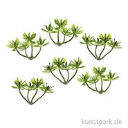Artikelbild des Artikels “Mini Buchs, 3 cm, 6 Stück “