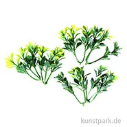 Artikelbild des Artikels “Mini Buchs, 5 cm, 6 Stück “