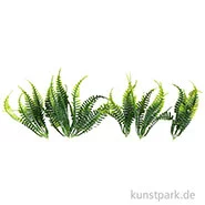 Artikelbild des Artikels “Mini Farn, 7 cm, 6 Stück “