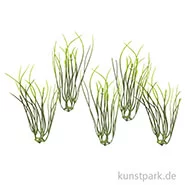 Artikelbild des Artikels “Mini Gräser, 9 cm, 5 Stück “
