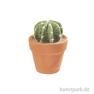 Artikelbild des Artikels “Mini Kaktus im Terracottatopf, rund, 4,5 cm “