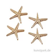 Artikelbild des Artikels “Mini Seestern - Natur, 2,8 cm, 4 Stück “