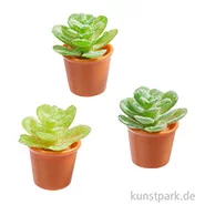 Artikelbild des Artikels “Miniatur Blumentöpfe mit Sukkulenten, 2,3 cm, 3 Stück “