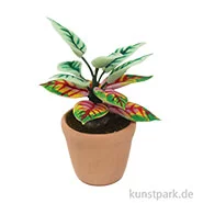 Artikelbild des Artikels “Miniatur Grünpflanze im Topf, sortiert, 3 cm “