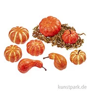 Artikelbild des Artikels “Miniatur Kürbisse mit Moos, ca. 3,5 - 5 cm, 8 Stück “