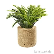 Artikelbild des Artikels “Miniatur Palmenpflanze, 6,5 cm “