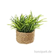 Artikelbild des Artikels “Miniatur Zimmerpflanze I, 4 cm “