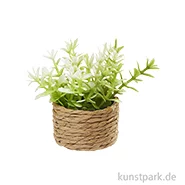 Artikelbild des Artikels “Miniatur Zimmerpflanze II, 4 cm “