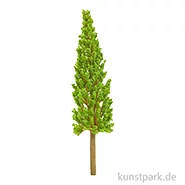 Artikelbild des Artikels “Miniatur Zypresse, ca. 14 cm “
