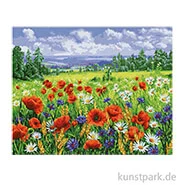 Artikelbild des Artikels “Schipper Malen nach Zahlen, Blumenwiese “