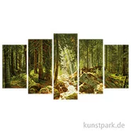 Artikelbild des Artikels “Schipper Malen nach Zahlen, Unser Wald “