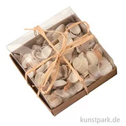 Artikelbild des Artikels “Muschelmix 110 g sortiert “