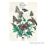 Artikelbild des Artikels “PEPIN Künstler Malbuch - Natural History “