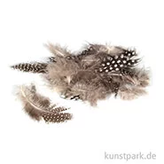 Artikelbild des Artikels “Perlhuhnfedern - natur, 100 Stück “