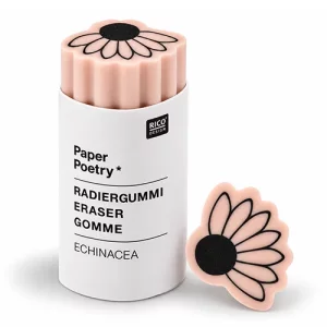 Artikelbild des Artikels “Radiergummi - In the Meadow, Orange, Echinacea “