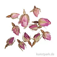 Artikelbild des Artikels “Rayher ganze Rosenknospen, 7 g im Beutel “