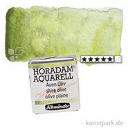 Artikelbild des Artikels “Schmincke HORADAM Aquarell - Supergranulierend 1/2 Napf | Auen Oliv“